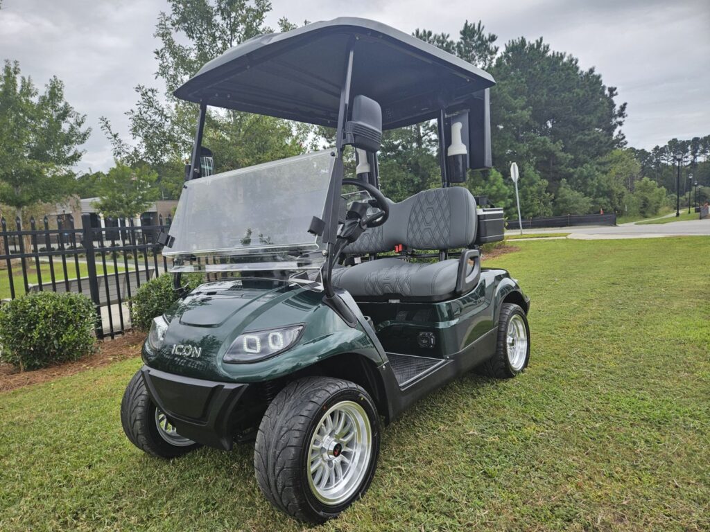 Golfer’s “Birdie Buggy” - Custom i20 Forest Green